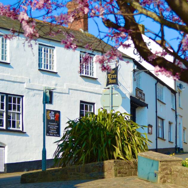 Wild Garlic Foraging & Cookery Class - 28th March